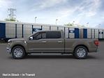 2025 Ford F-150 SuperCrew Cab 4WD, Pickup for sale #58681 - photo 3