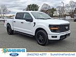 2025 Ford F-150 SuperCrew Cab 4WD Pickup for sale #58707 - photo 1