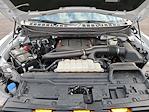 2024 Ford F-150 SuperCrew Cab 4WD Pickup for sale #F3047 - photo 31