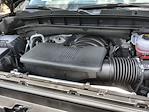 2025 GMC Sierra 1500 Crew Cab 4WD Pickup for sale #2350649 - photo 29