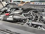 2024 Ford F-250 Crew Cab 4WD Pickup for sale #2350750A - photo 30