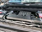 New 2025 GMC Sierra 1500 Pro Regular Cab Pickup for sale #F2350420 - photo 27