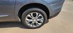 Used 2019 Buick Enclave Avenir AWD SUV for sale #103225U - photo 50