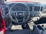 2024 Chevrolet Silverado 1500 Regular Cab 4WD Pickup for sale #104703U - photo 10