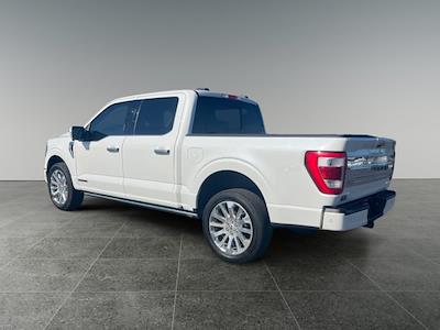2023 Ford F-150 SuperCrew Cab 4x4 Pickup for sale #104796U - photo 2