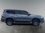 2019 Lexus GX 460 AWD SUV for sale #104819U - photo 6