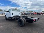 2024 Chevrolet Silverado 4500 Regular Cab DRW 2WD, Cab Chassis for sale #9037N - photo 2