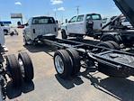 2024 Chevrolet Silverado 6500 Regular Cab DRW 2WD, Cab Chassis for sale #9089N - photo 4