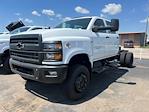 2024 Chevrolet Silverado 5500 Crew Cab DRW 4WD, Cab Chassis for sale #9135N - photo 1