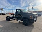 New 2024 Chevrolet Silverado 4500 Regular Cab Cab Chassis for sale #9223N - photo 1