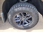 2023 Chevrolet Silverado 1500 Crew Cab 4WD Pickup for sale #C0286A - photo 15
