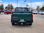 2025 Chevrolet Silverado 1500 Double Cab 4WD Pickup for sale #C0377 - photo 3