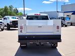 2024 Chevrolet Silverado 2500 Regular Cab 4WD Reading Service Truck for sale #F0157 - photo 7