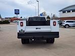 2024 Chevrolet Silverado 2500 Crew Cab SRW 4WD Service Truck for sale #F0204 - photo 4