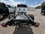 2025 Chevrolet Silverado 3500 Regular Cab DRW 4WD Cab Chassis for sale #F0212 - photo 4