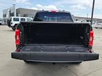 2023 Ford F-150 SuperCrew Cab 4x4 Pickup for sale #116163P - photo 16