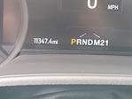 2024 Ford E-350 RWD Box Truck for sale #116165P - photo 21