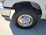 2024 Ford E-350 RWD Box Truck for sale #116255P - photo 15