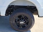 2024 Ford F-350 Crew Cab SRW 4WD Pickup for sale #116260P - photo 14