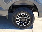 2023 Ford F-150 SuperCrew Cab 4WD Pickup for sale #116305P - photo 16
