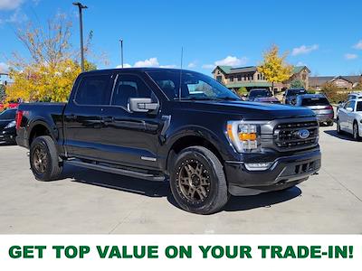 2023 Ford F-150 SuperCrew Cab 4WD Pickup for sale #116308P - photo 1