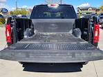 2023 Ford F-150 SuperCrew Cab 4WD Pickup for sale #116308P - photo 14