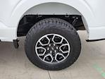2023 Ford F-150 SuperCrew Cab 4WD Pickup for sale #116317P - photo 18