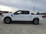 2023 Ford F-150 SuperCrew Cab 4WD Pickup for sale #116317P - photo 6