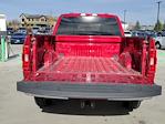 2022 Ford F-150 SuperCrew Cab 4WD Pickup for sale #116320P - photo 14
