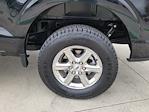 2024 Ford F-150 SuperCrew Cab 4WD Pickup for sale #116335P - photo 16