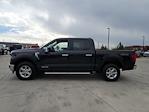 2024 Ford F-150 SuperCrew Cab 4WD Pickup for sale #116335P - photo 6
