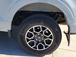 2023 Ford F-150 SuperCrew Cab 4WD Pickup for sale #116337P - photo 15