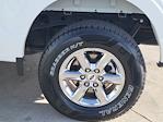 2024 Ford F-150 SuperCrew Cab 4WD Pickup for sale #116357P - photo 14