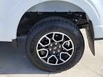 2023 Ford F-150 SuperCrew Cab 4WD Pickup for sale #116443P - photo 13