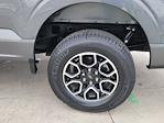 2023 Ford F-150 SuperCrew Cab 4WD Pickup for sale #116468P - photo 15