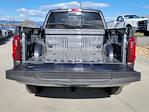 2024 Ford F-150 SuperCrew Cab 4x4 Pickup for sale #332567 - photo 13