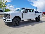 2024 Ford F-350 Crew Cab SRW 4x4 Pickup for sale #332829 - photo 4