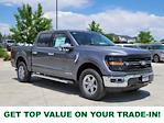 2024 Ford F-150 SuperCrew Cab 4x4 Pickup for sale #333101 - photo 1