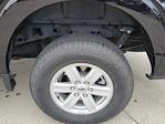 2024 Ford F-150 SuperCrew Cab 4x4 Pickup for sale #333178A - photo 16