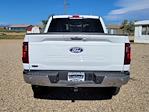 2024 Ford F-150 SuperCrew Cab 4x4 Pickup for sale #333750 - photo 12