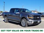 2024 Ford F-150 SuperCrew Cab 4x4 Pickup for sale #334304 - photo 1