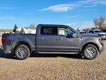 2024 Ford F-150 SuperCrew Cab 4x4 Pickup for sale #334306 - photo 3