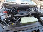 2024 Ford F-150 SuperCrew Cab 4x4 Pickup for sale #334316D - photo 18