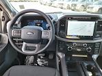 2024 Ford F-150 SuperCrew Cab 4x4 Pickup for sale #334319 - photo 9