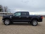 2024 Ford F-150 SuperCrew Cab 4x4 Pickup for sale #334373 - photo 6