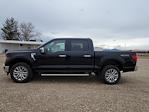 2024 Ford F-150 SuperCrew Cab 4x4 Pickup for sale #334374 - photo 6