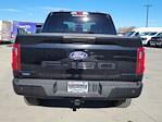 2025 Ford F-150 SuperCrew Cab 4x4 Pickup for sale #334521 - photo 10