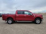 2025 Ford F-150 SuperCrew Cab 4x4 Pickup for sale #334566 - photo 3
