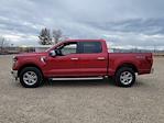 2025 Ford F-150 SuperCrew Cab 4x4 Pickup for sale #334566 - photo 6