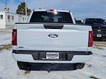 2025 Ford F-150 SuperCrew Cab 4x4 Pickup for sale #334583 - photo 9